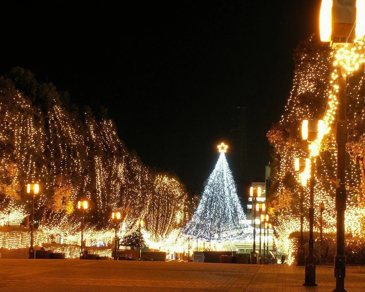 New Year, 2013, Новый год