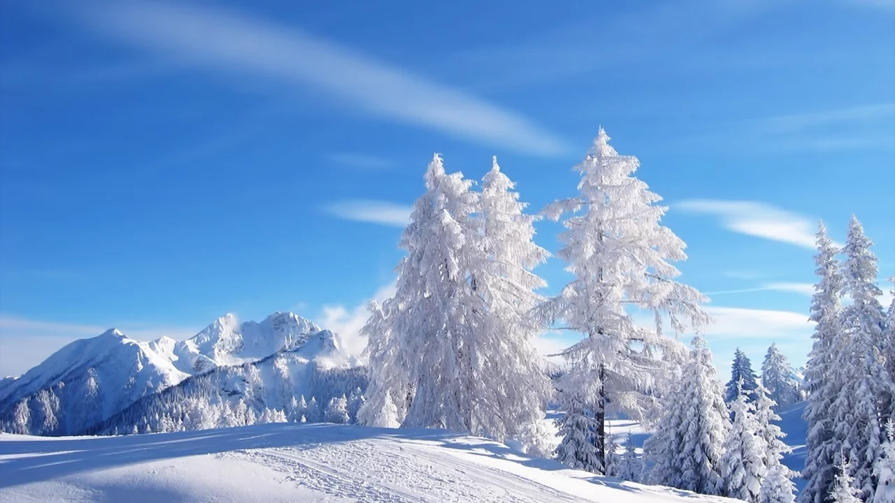 blue skies, tracks, snow, mountains, , trees