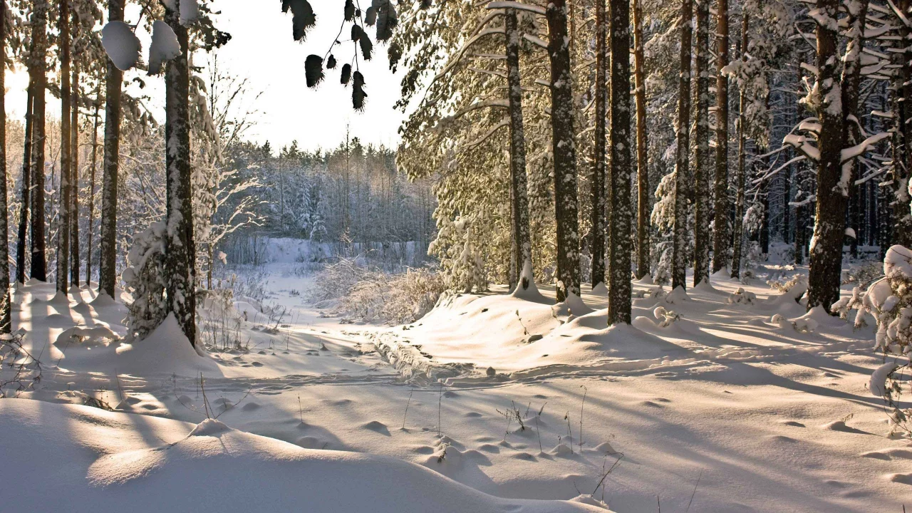 природа, nature