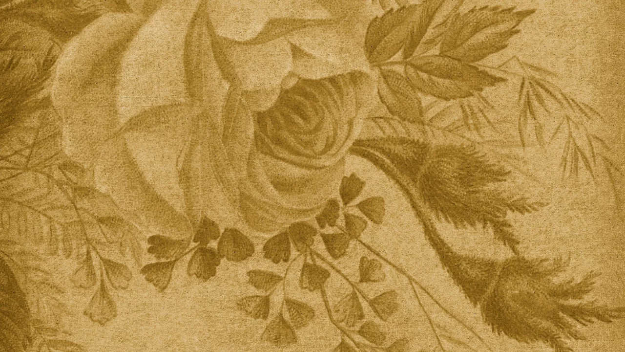 textures, текстуры