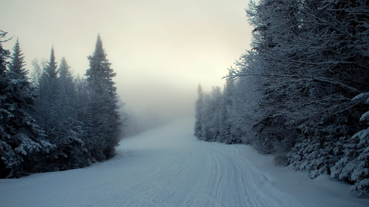 , winter