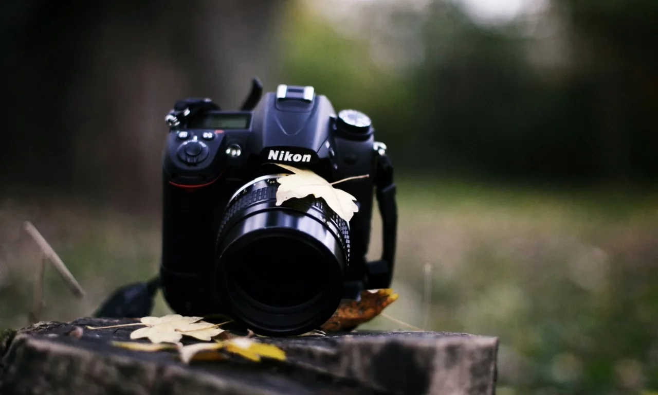 grass, autumn, , Nikon, upscaled, leaves