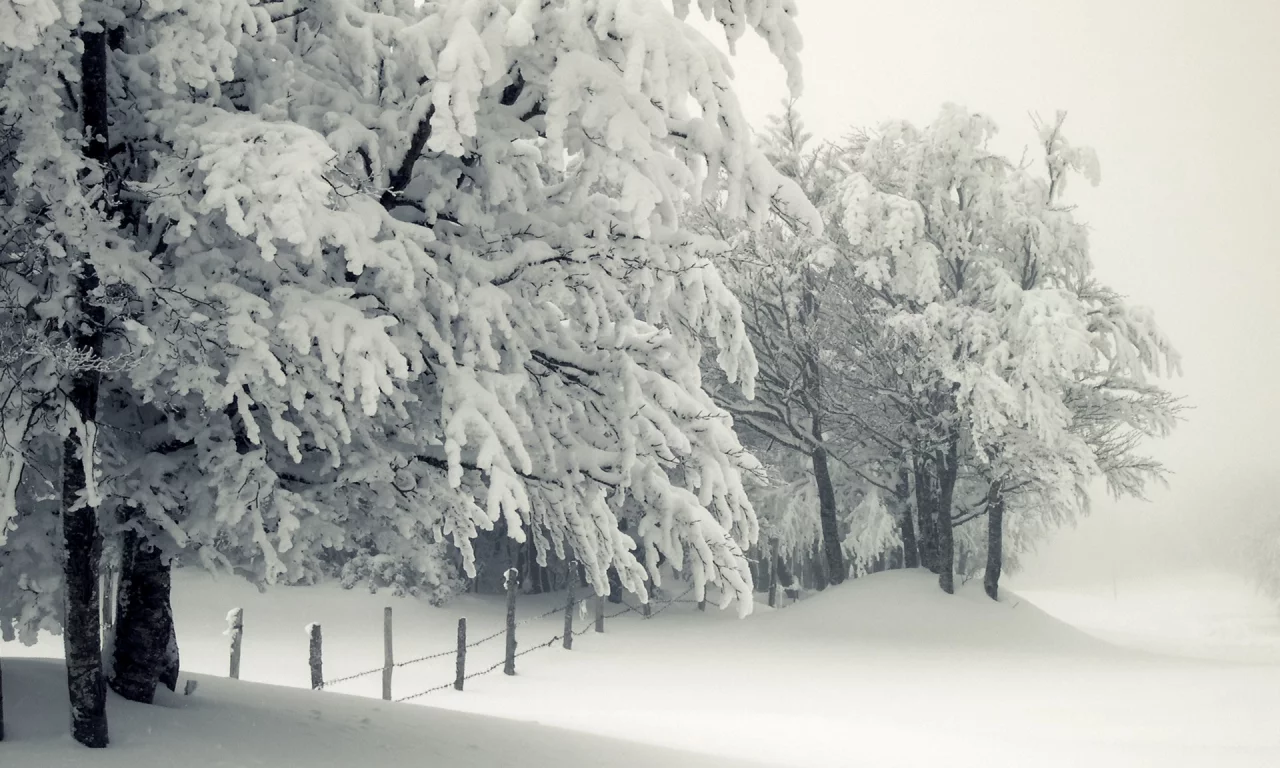 красота, природа