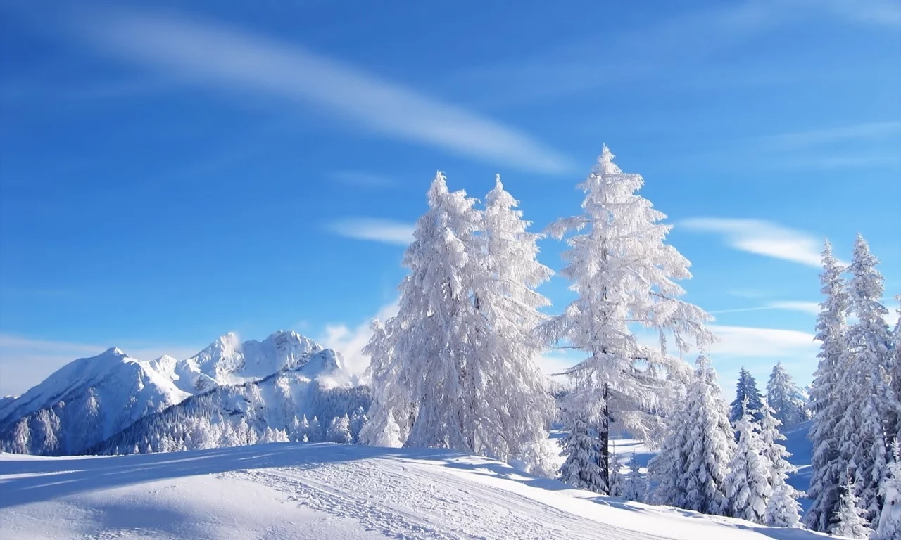 blue skies, tracks, snow, mountains, , trees