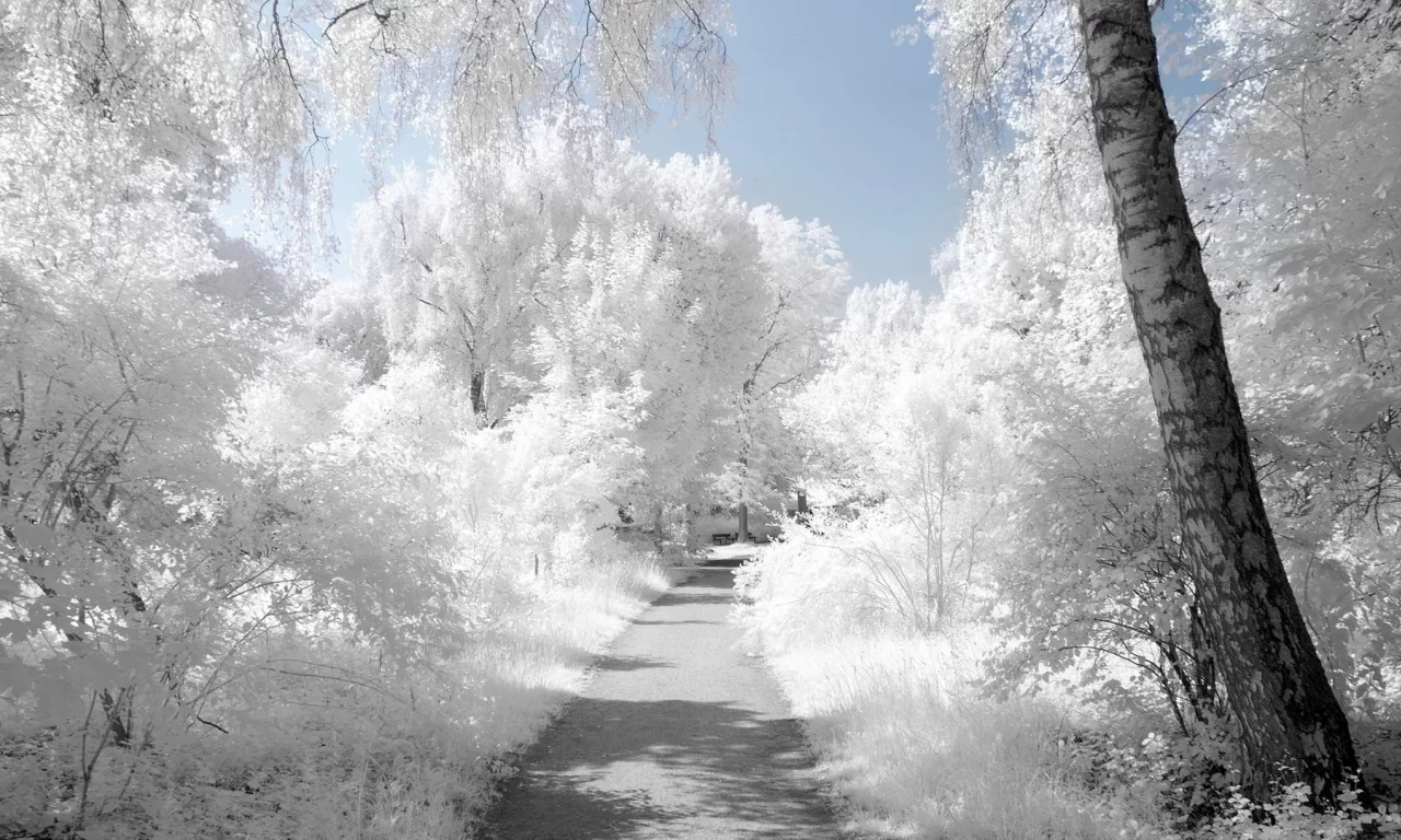 snow, снег