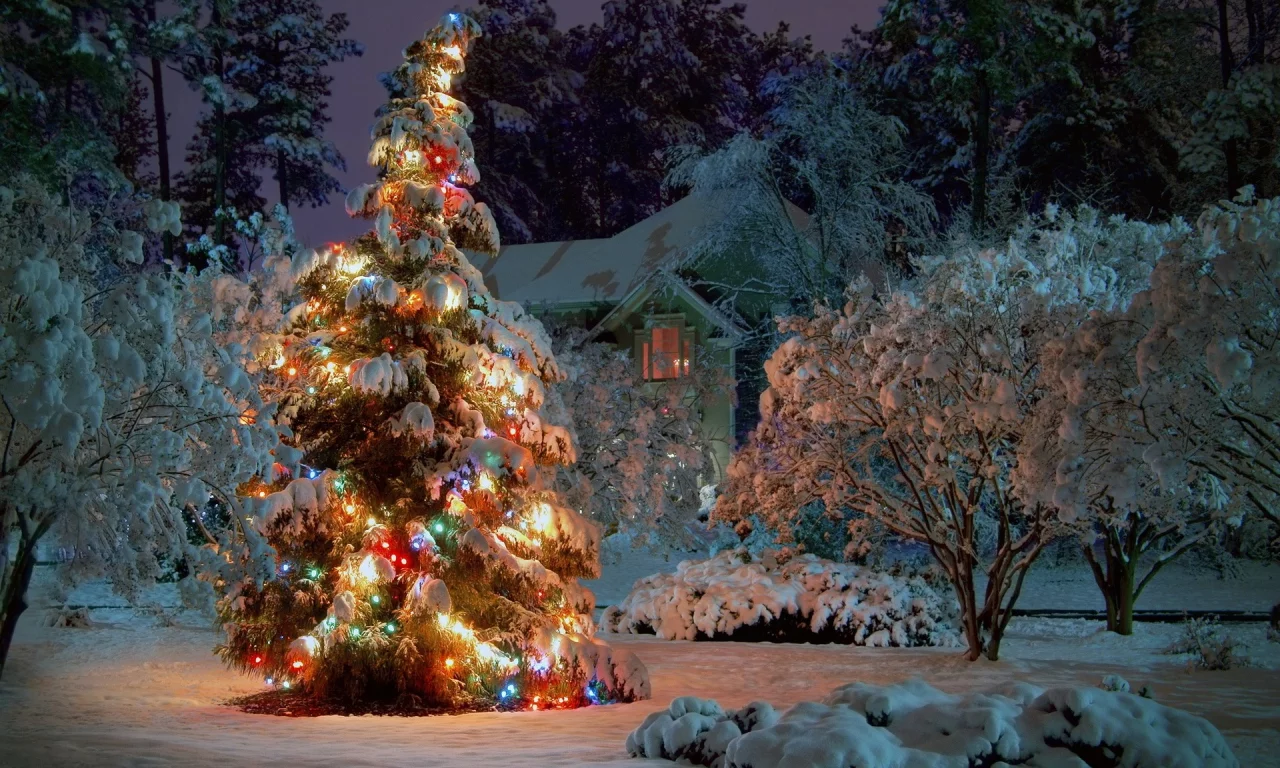 New Year, 2013, Новый год