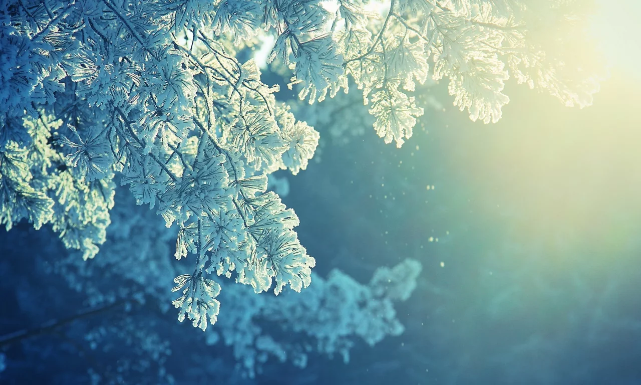 winter, зима