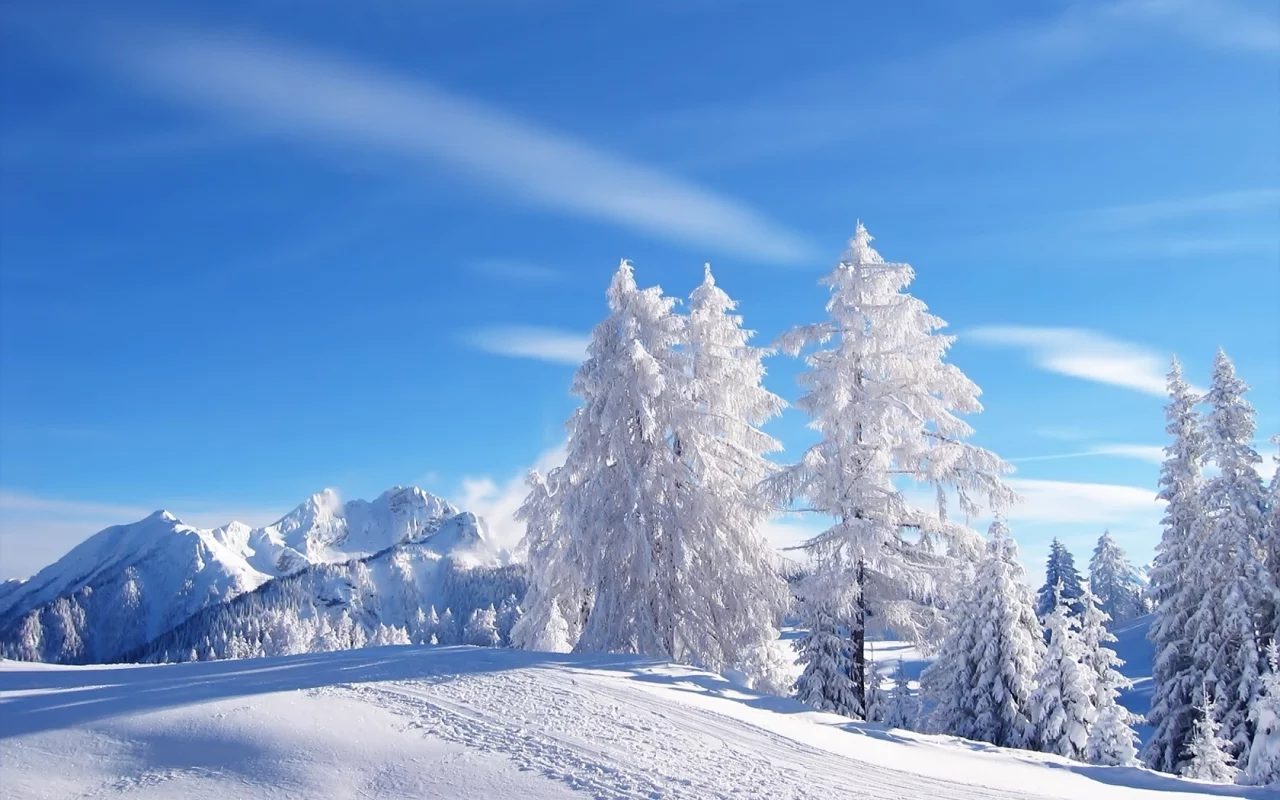 blue skies, tracks, snow, mountains, , trees