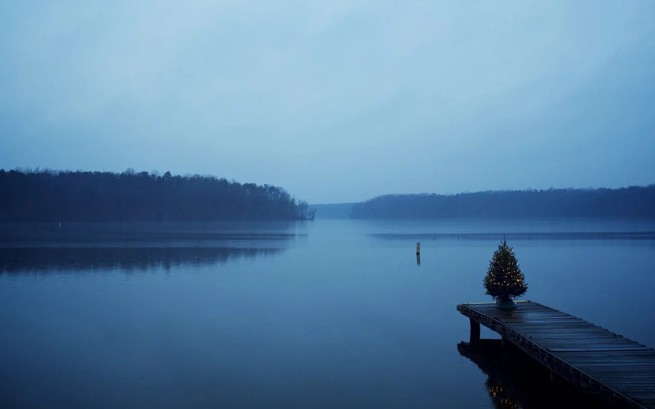 Christmas, trees, blue, , water