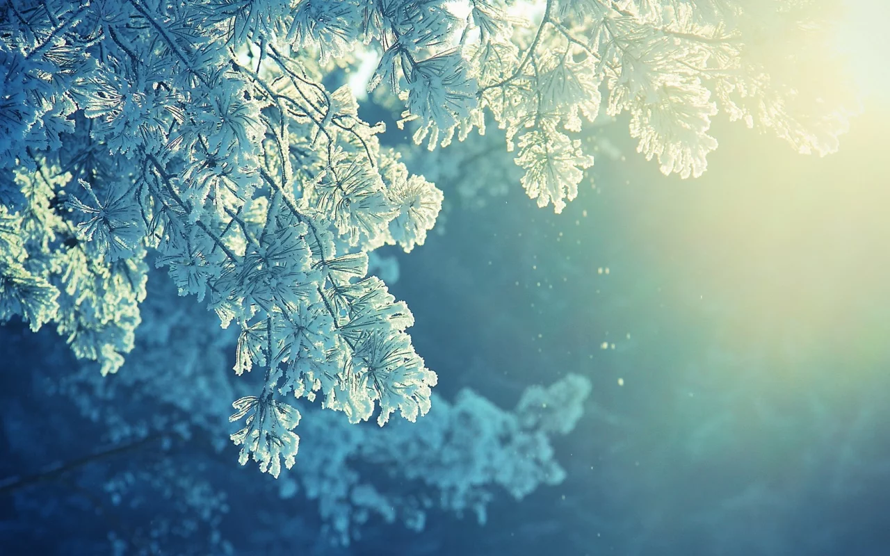 winter, зима