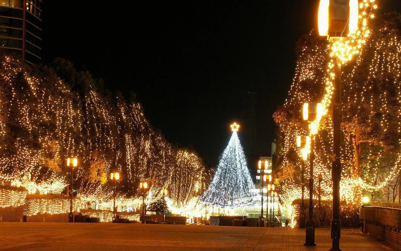 New Year, 2013, Новый год