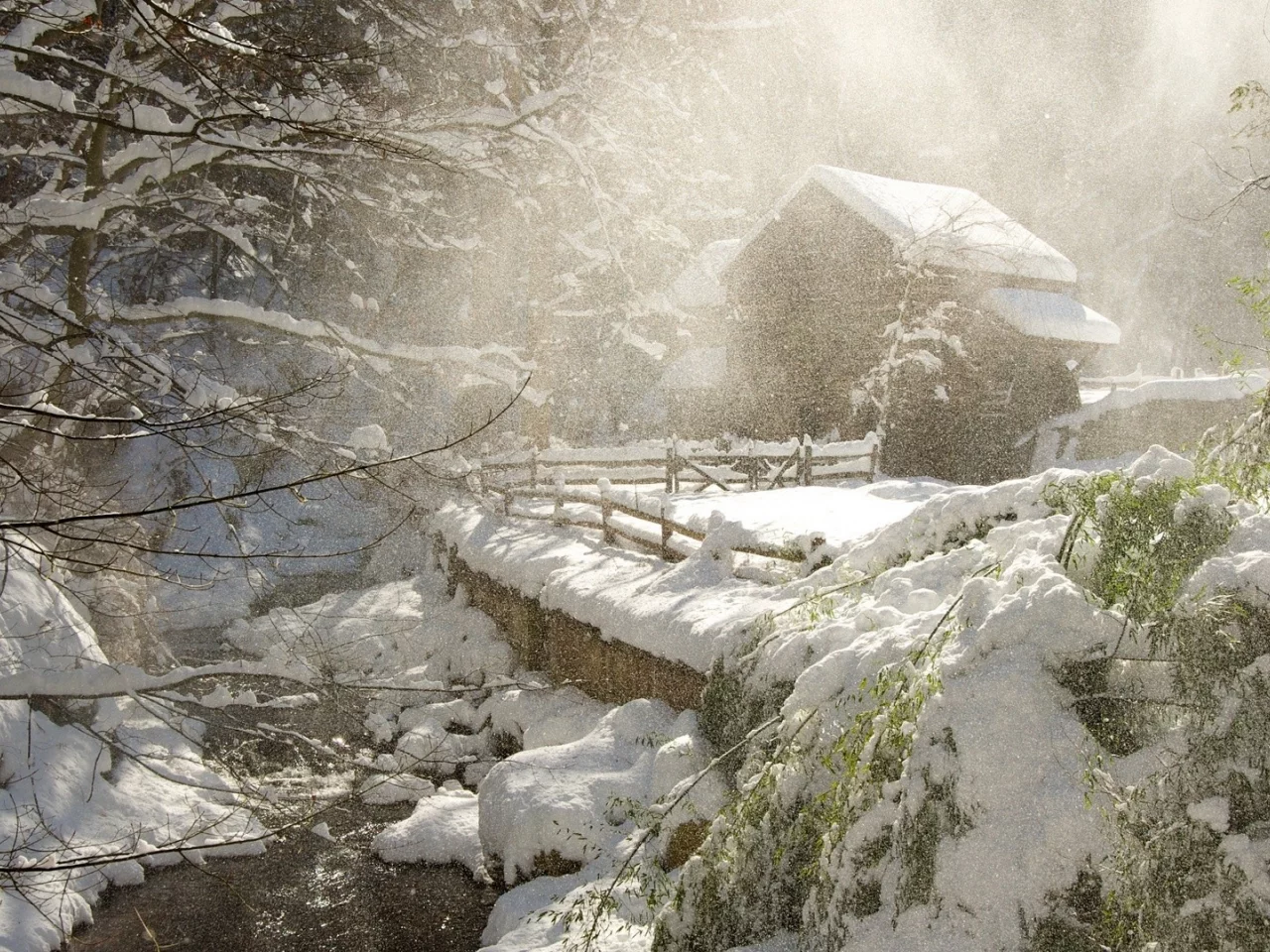 зима, winter
