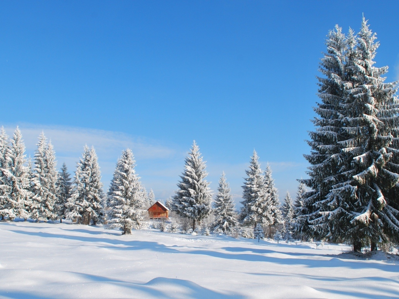 зима, природа, nature, снег, покрытый, landscapes, covered, winter, snow, пейзажи