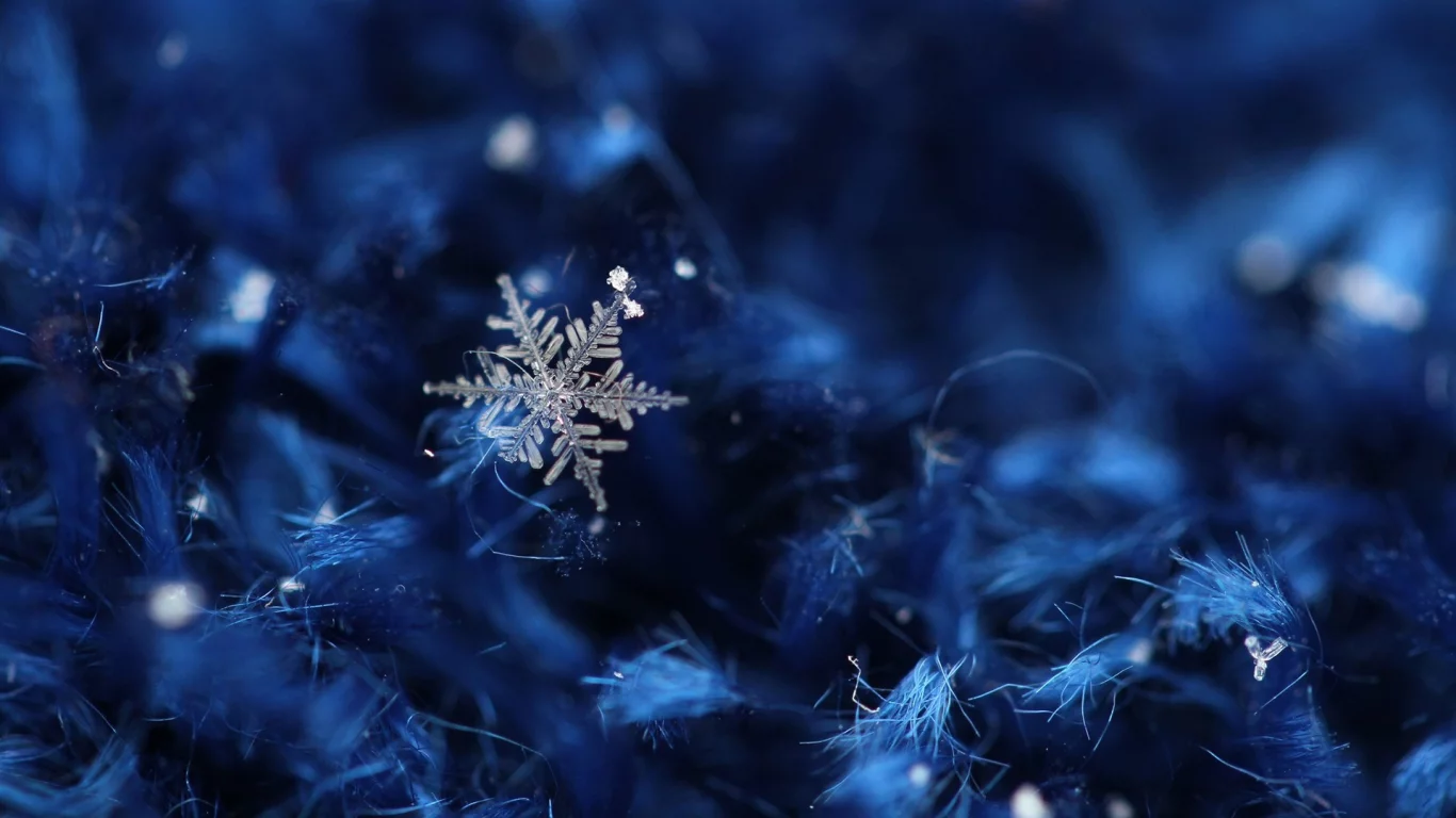 ice crystals, ледяные кристаллы, Зима, снег, snow, winter