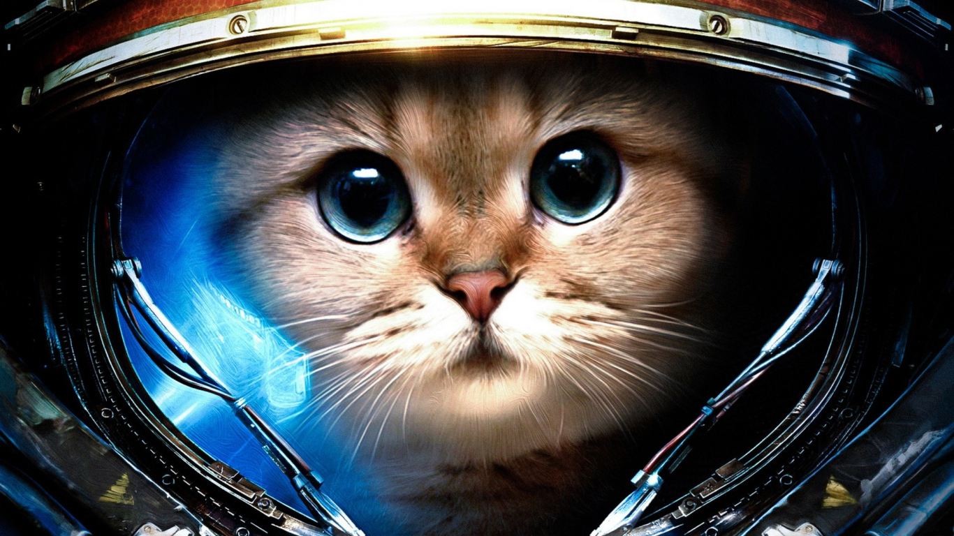 cats (drawn), space suit, кошек ( рисуются), StarCraft II, Скафандр