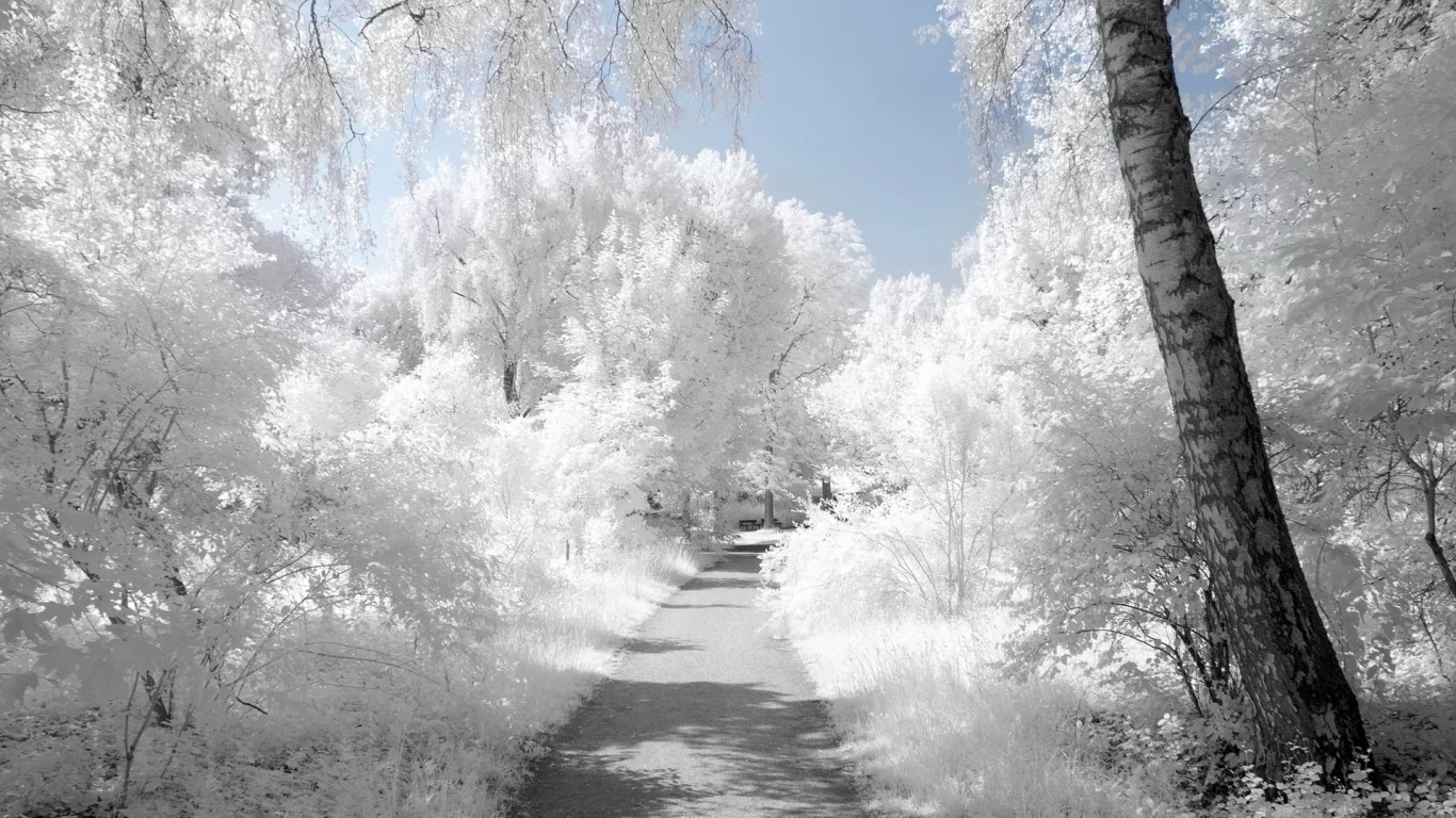 snow, снег