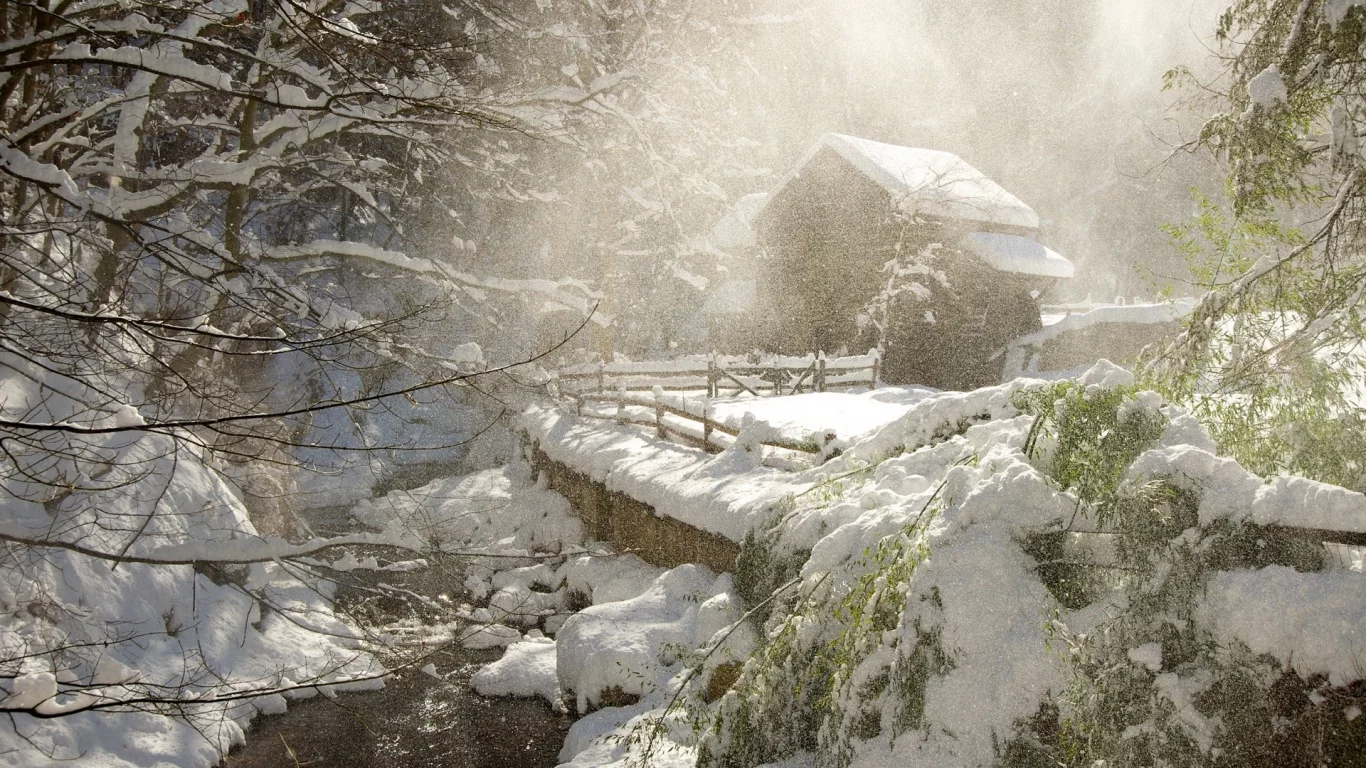 зима, winter