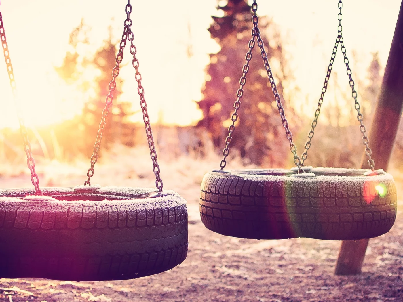 , sunlight, swings, tires