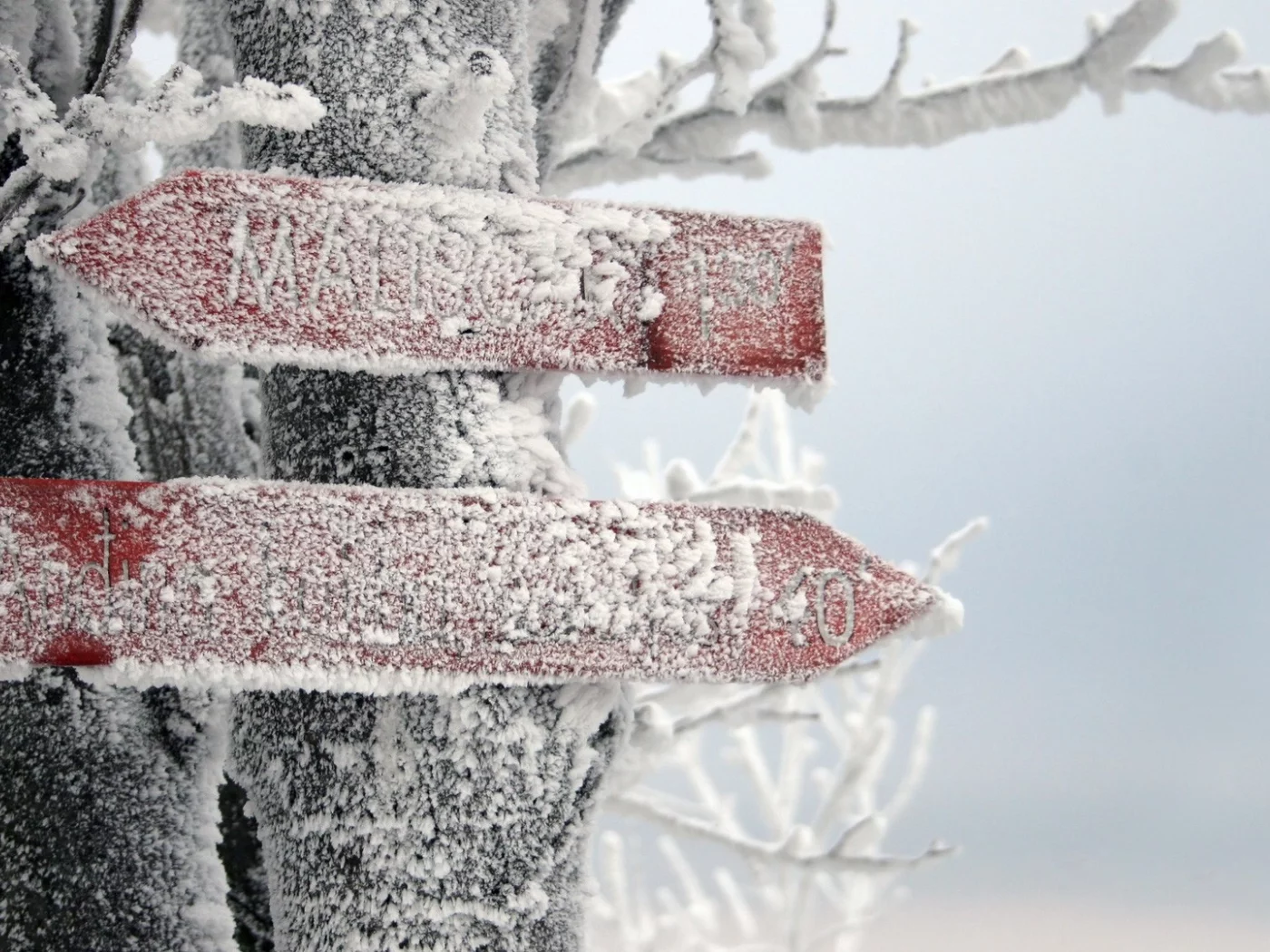 winter, зима