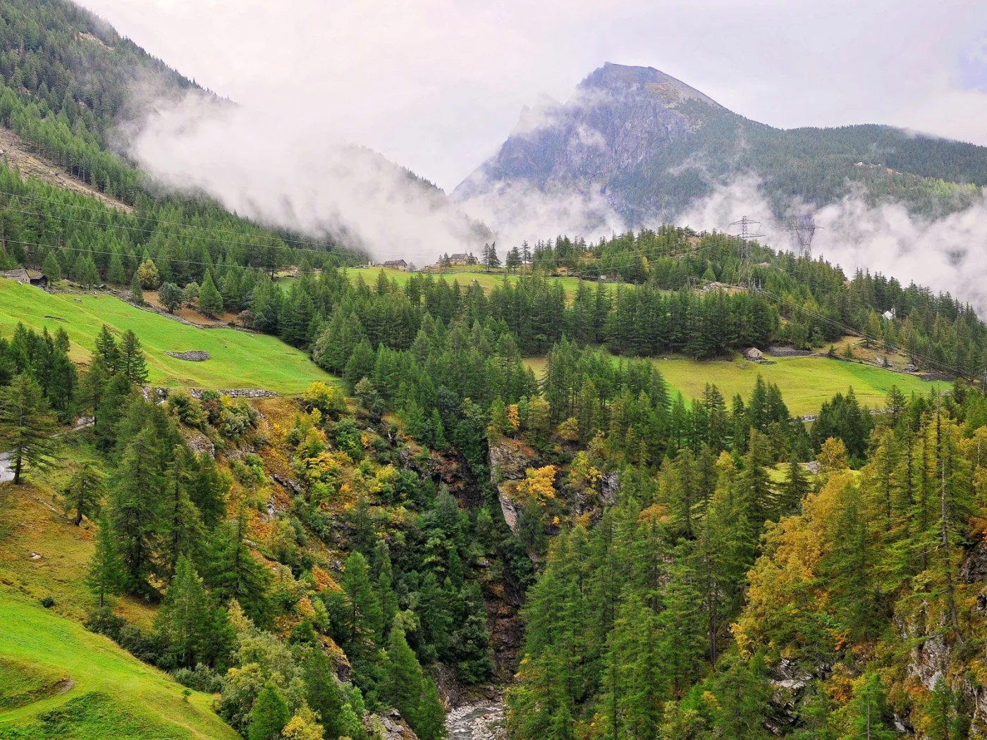 nature, природа