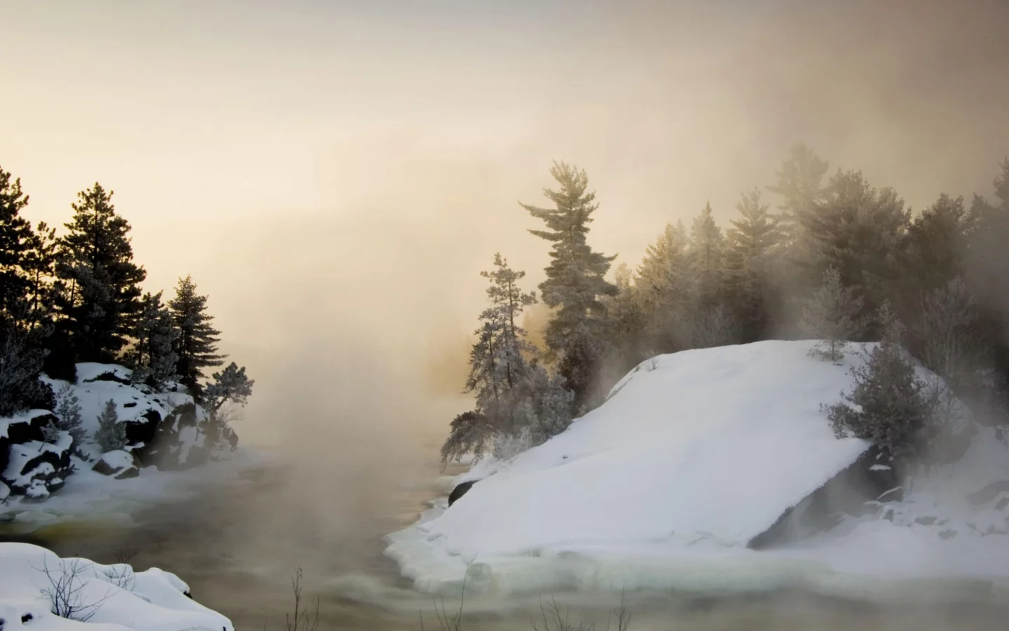 рек, снег, пихты, snow, rivers, fir, туман, fog