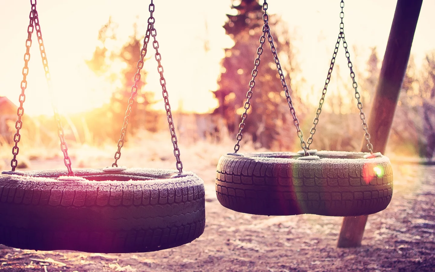 , sunlight, swings, tires