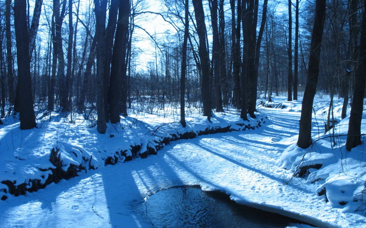 winter, ice, trees, , forest, rivers, water, nature, snow