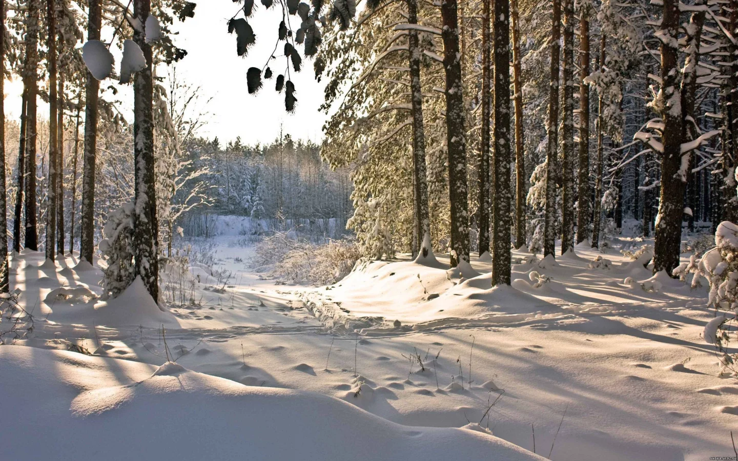 природа, nature