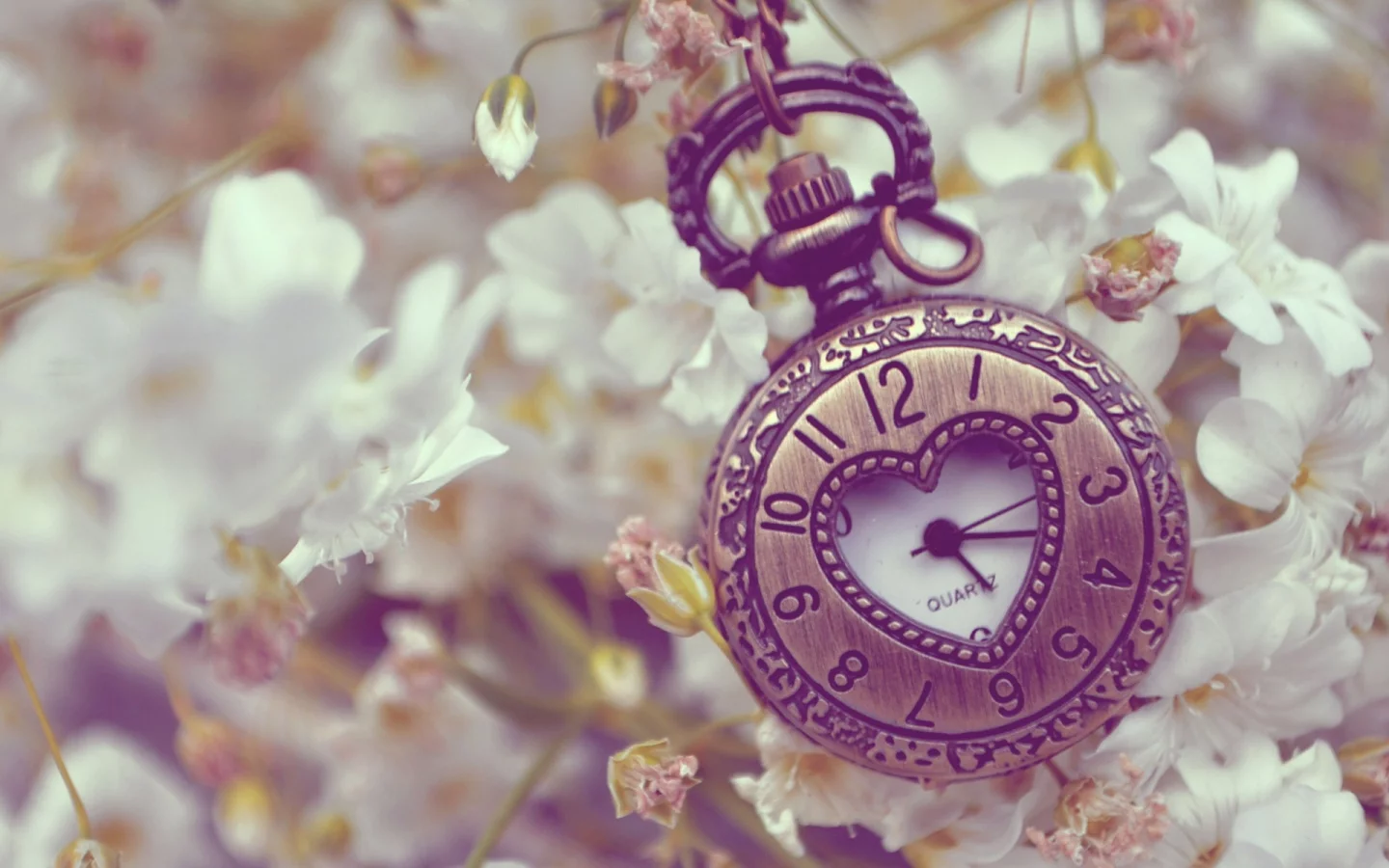 clocks, часы