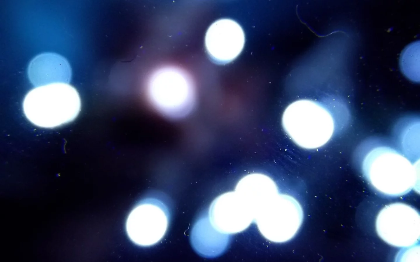 Moon, The Sun, , lights