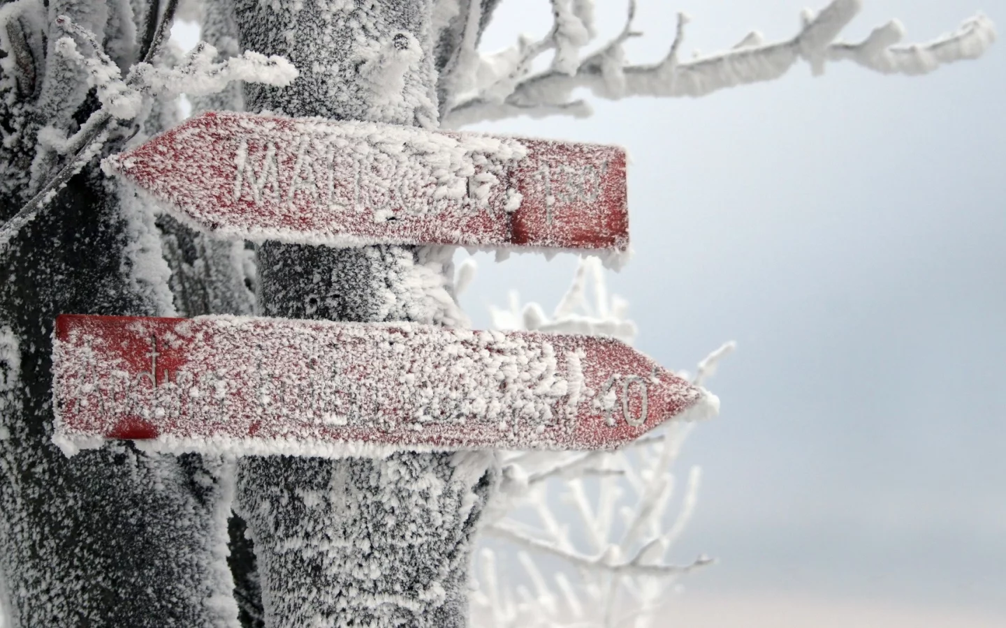 winter, зима