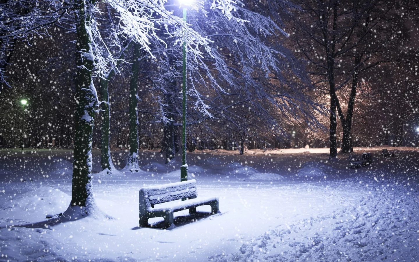 winter, зима
