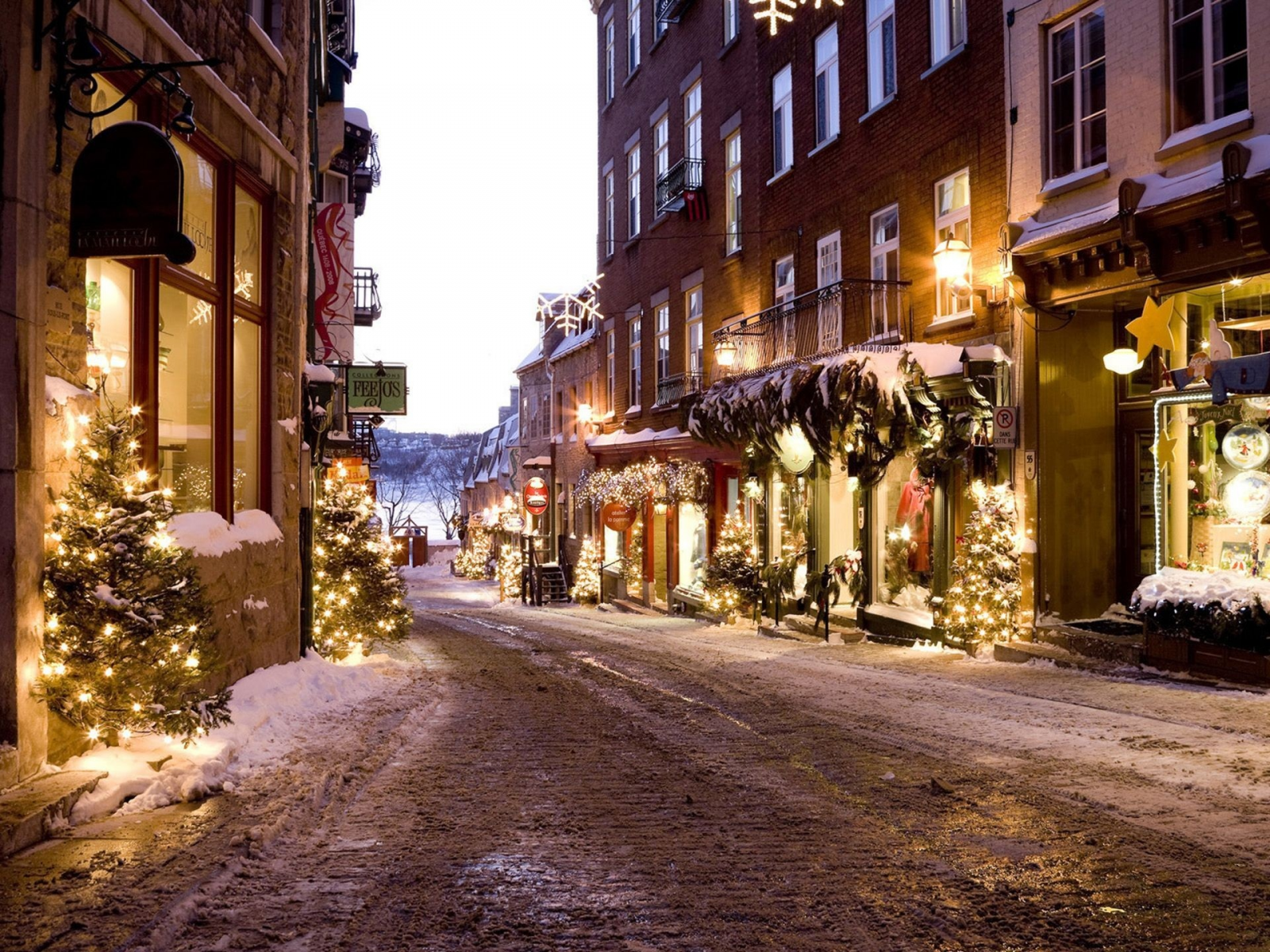 Christmas, деревья, улицы, trees, way, buildings, магазин, street, Рождество, walk, кстати, зданий, прогулки, shop, снег, Quebec, Квебек, snow
