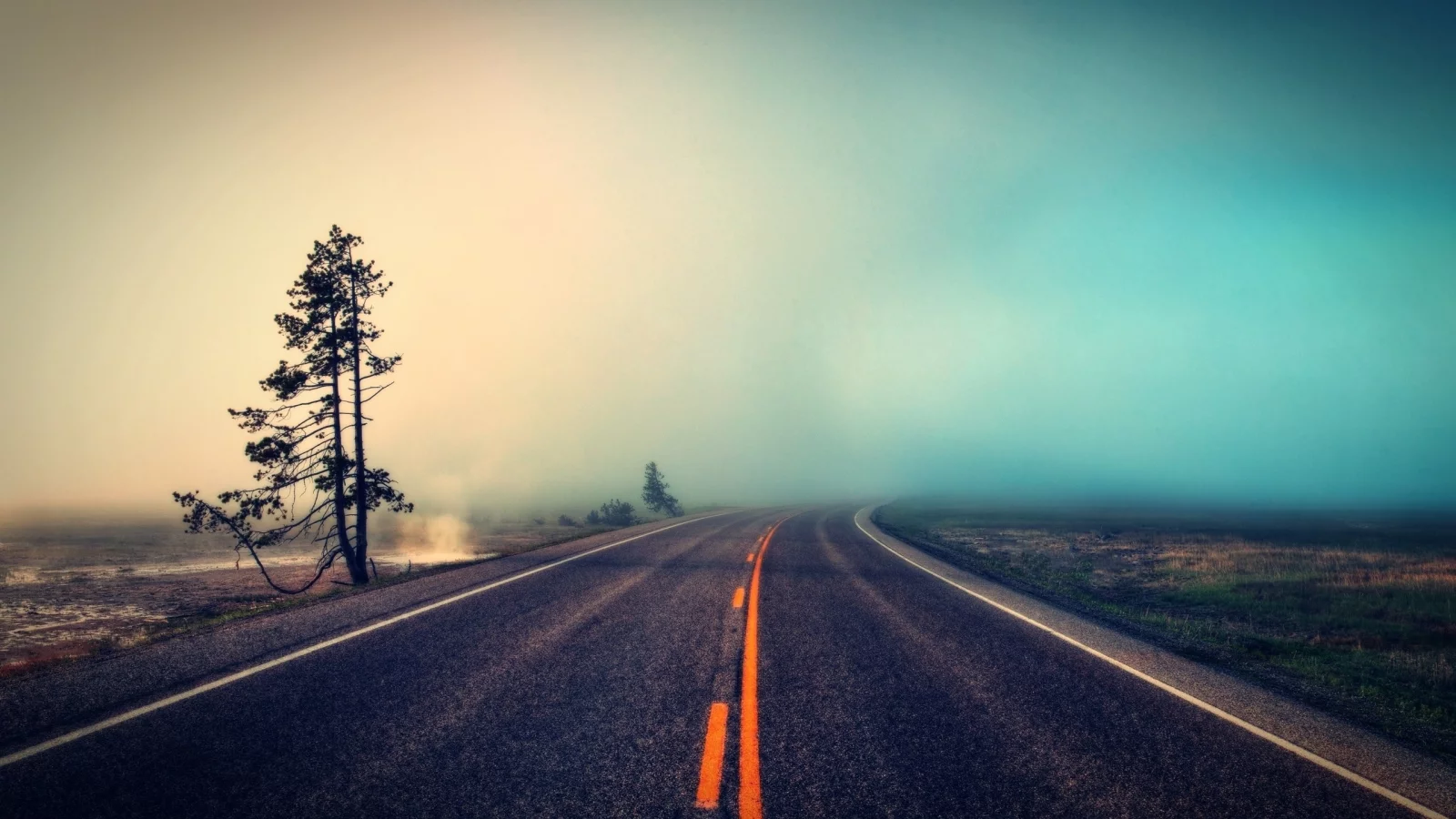roads, ambiant, trees, Ambiant, деревья, туман, дороги, fog