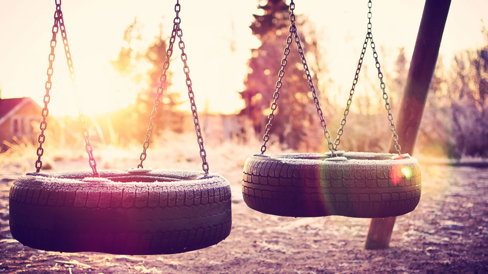 , sunlight, swings, tires