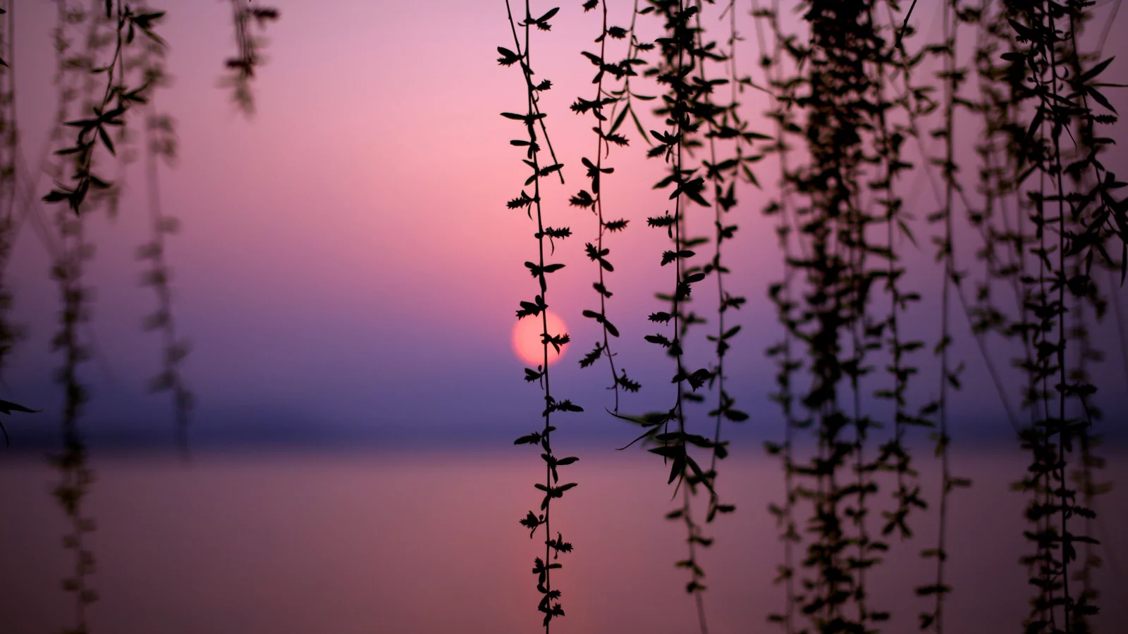 солнце, Sun