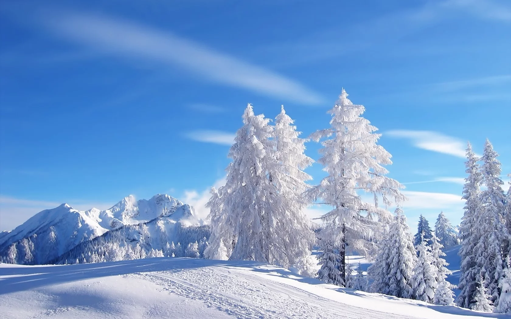 blue skies, tracks, snow, mountains, , trees