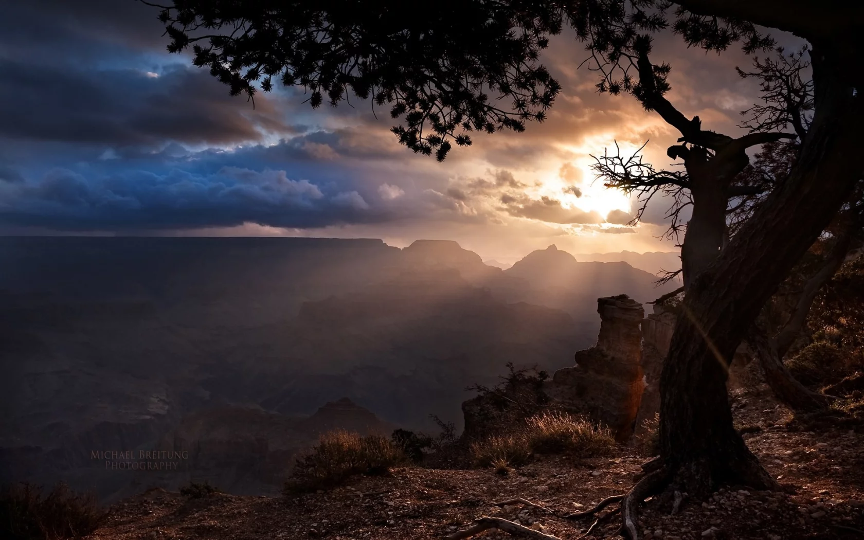 nature, природа