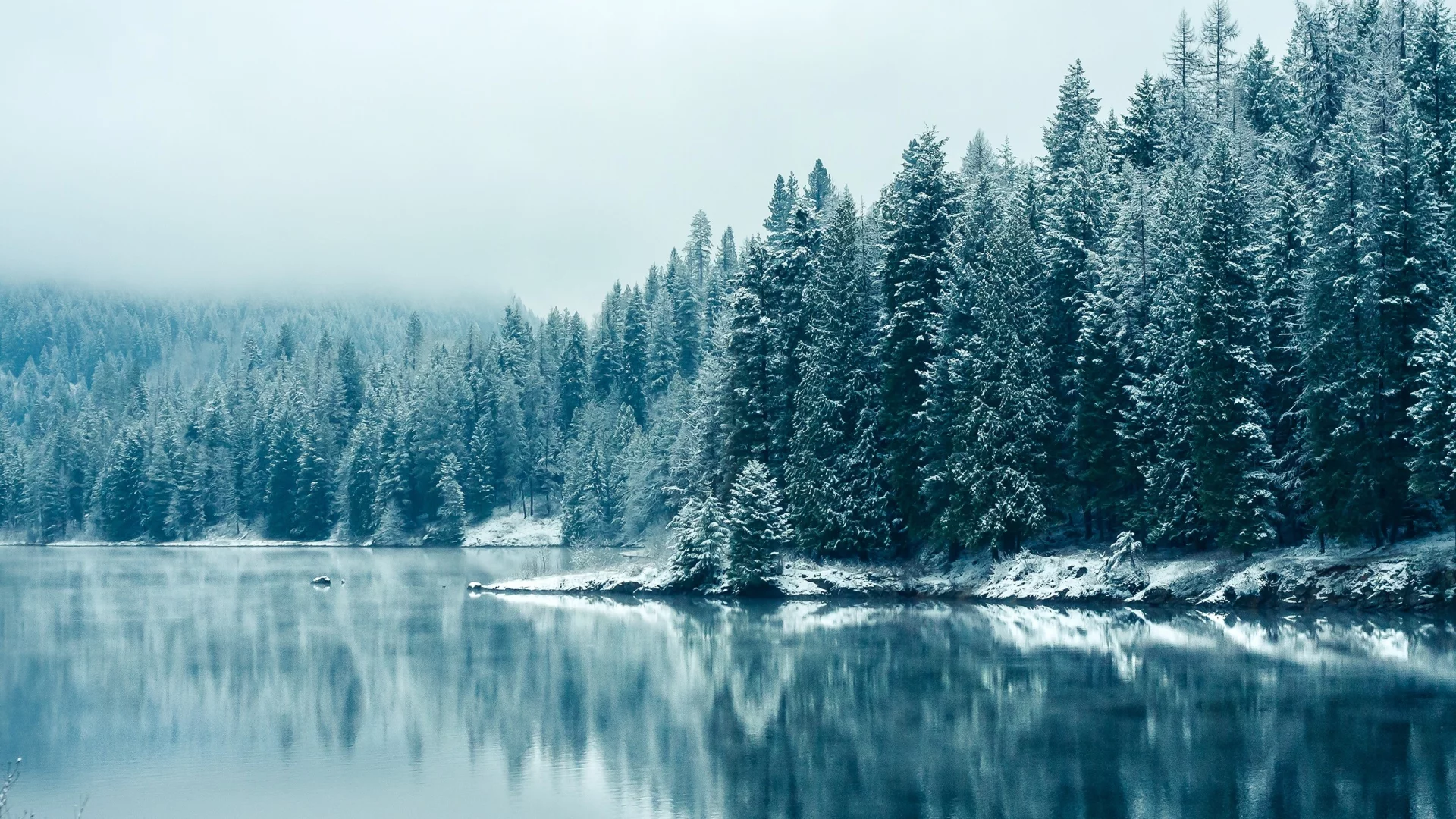 лес, Британская Колумбия, зима, отражения, снегопада, British Columbia, reflections, природа, озера, Snowfall, деревья, forest, winter, trees, nature, lakes