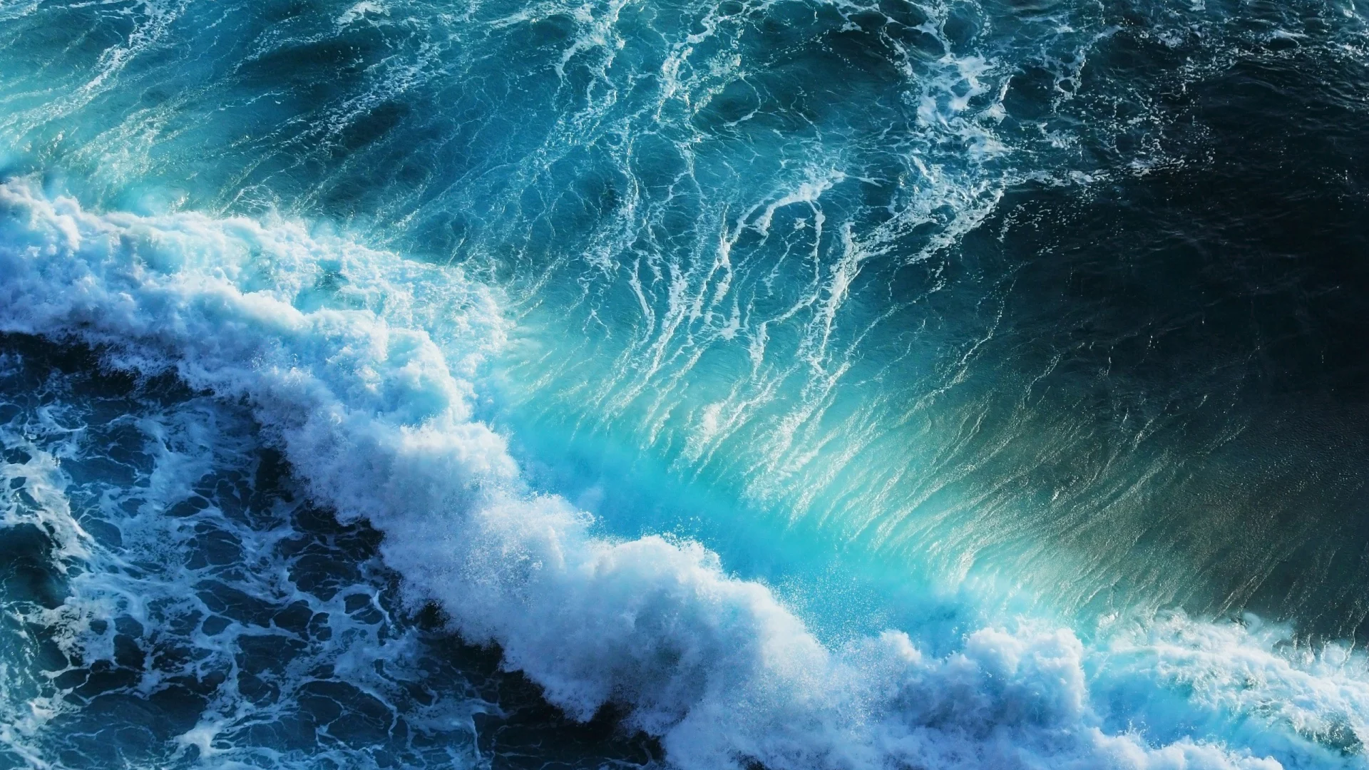 , ocean