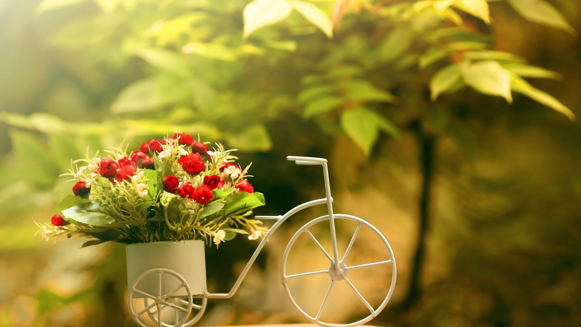 flowers, , minimalistic