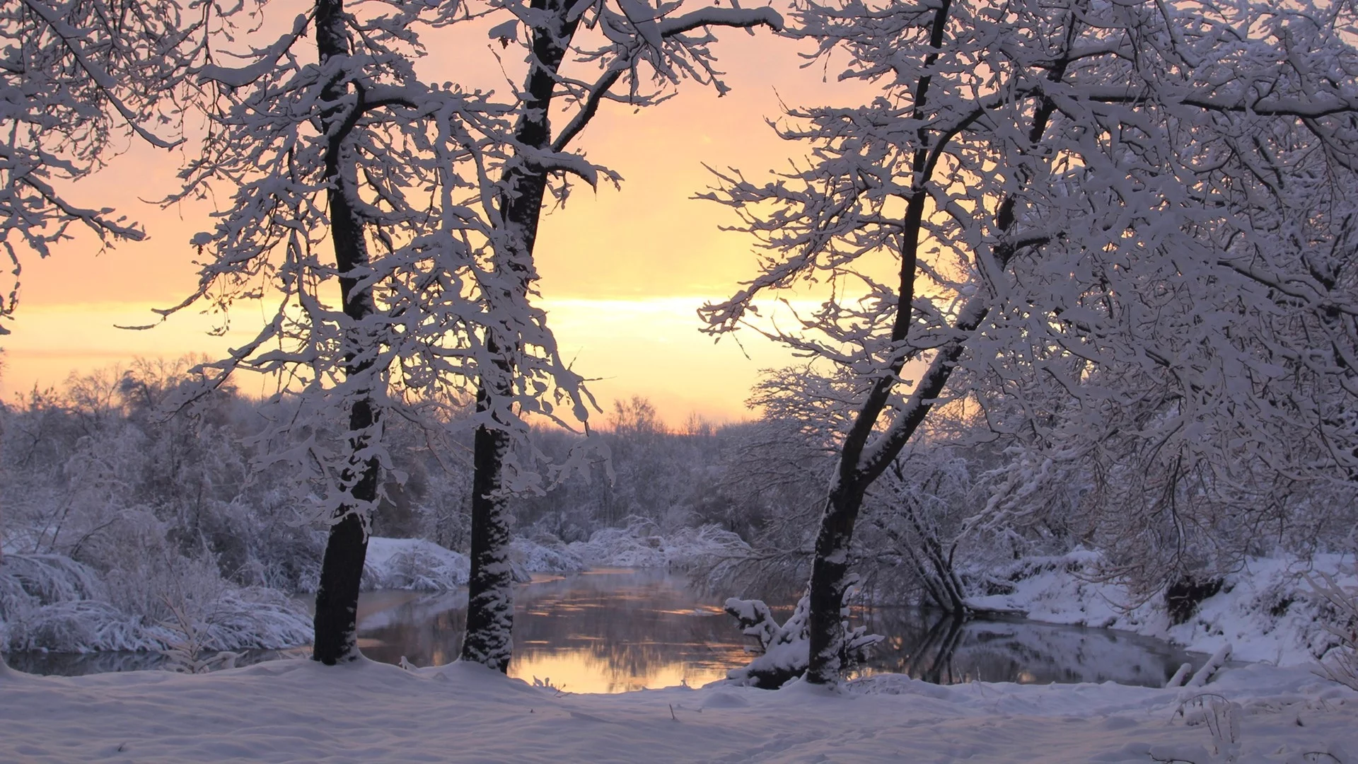 зима, winter