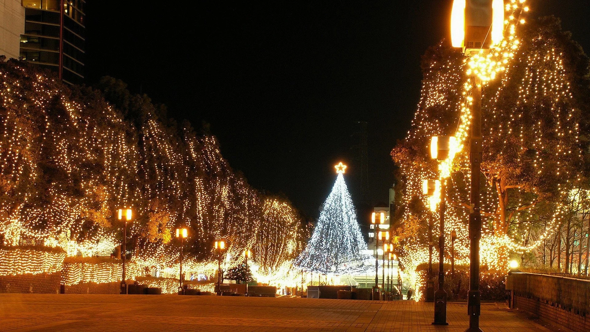 New Year, 2013, Новый год