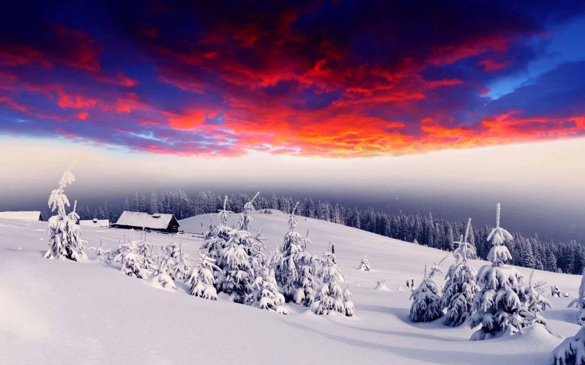 снег, snow