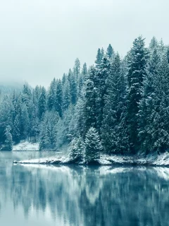 лес, Британская Колумбия, зима, отражения, снегопада, British Columbia, reflections, природа, озера, Snowfall, деревья, forest, winter, trees, nature, lakes