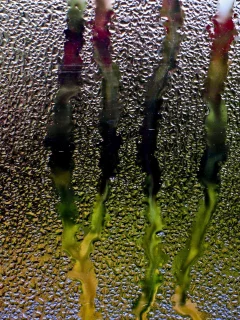 воды, water