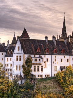 castle, Деревья, замок, trees, Швейцария, Switzerland