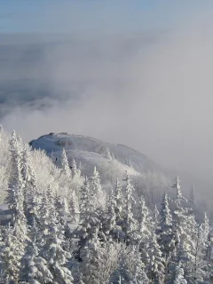 nature, landscapes, fog, mountains, snow, , trees