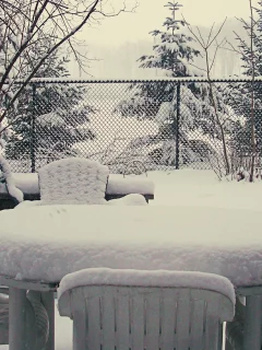 зима, winter