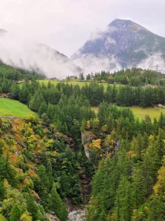 nature, природа